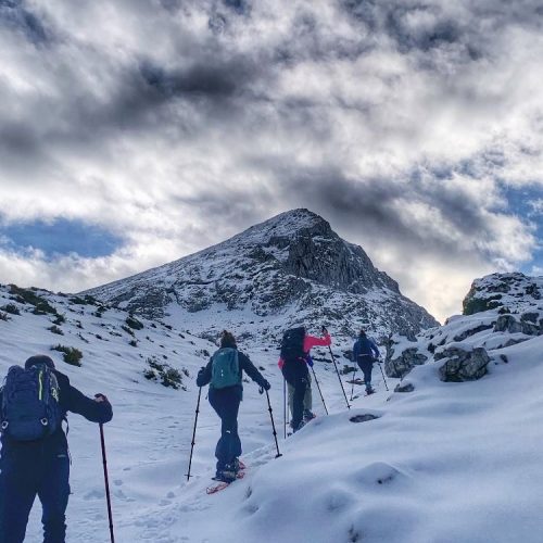 051bad08-3204-40e6-83bc-8434d2f1cc6e