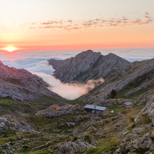 1706191829354 (1) reducida