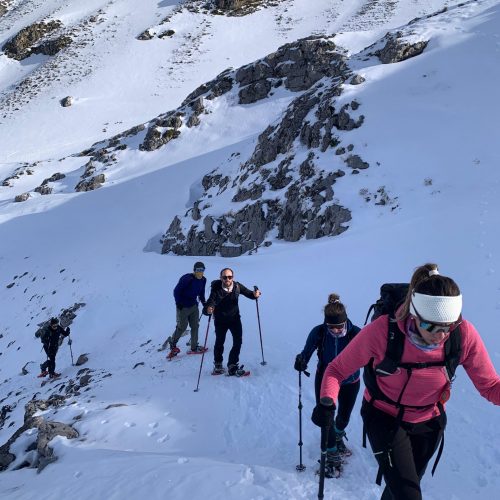 1e49fe62-26ad-475e-9a6c-3d572eae5382