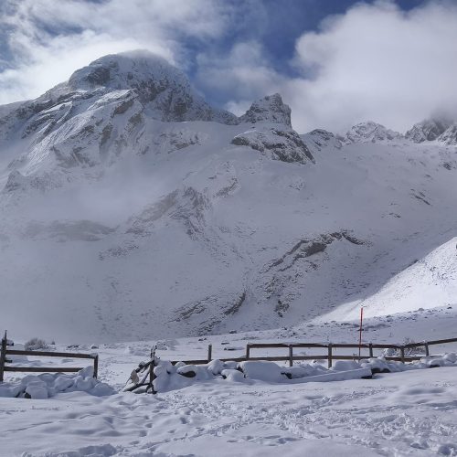 6f506092-0f38-4115-894d-80edf51d079f