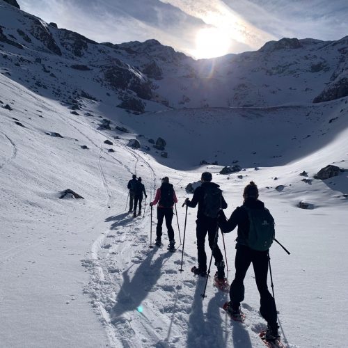 954ef743-ad7a-4a8c-8901-4d6684700e39