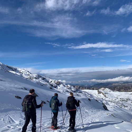 9a533821-4625-4833-ae5c-f8a05429789a