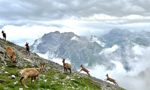 Paisaje en Collado Jermoso