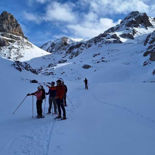 f93dc901-31c4-4c12-9d2b-109326ac6c7b