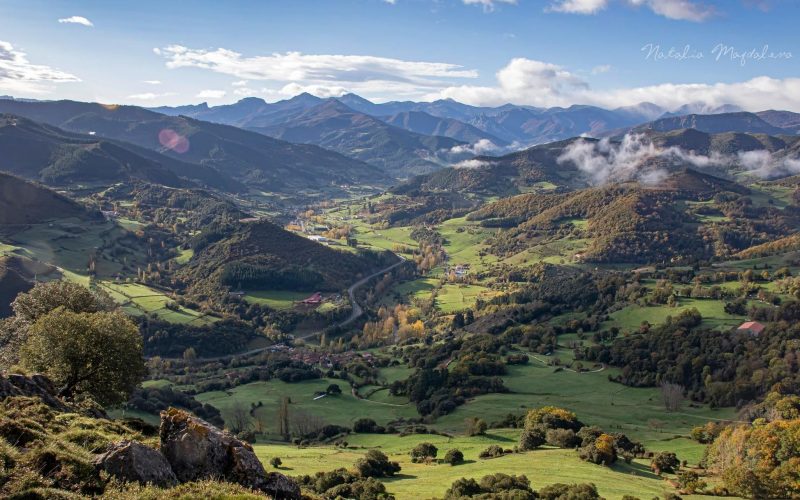 164877844_1655885281272323_5167022135864038738_n